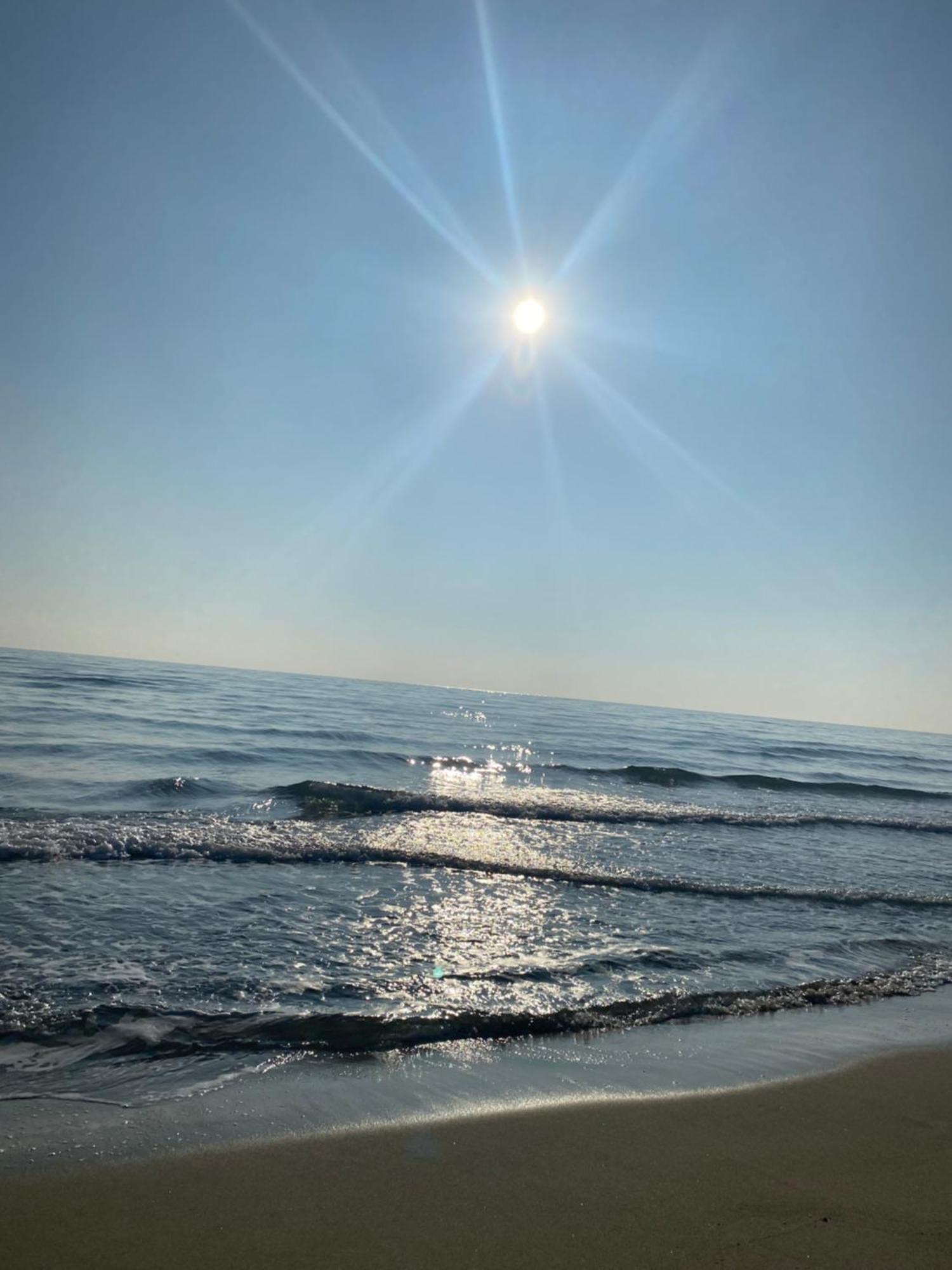 Hotel Saint Georges, Face A La Mer Canet-en-Roussillon Bagian luar foto